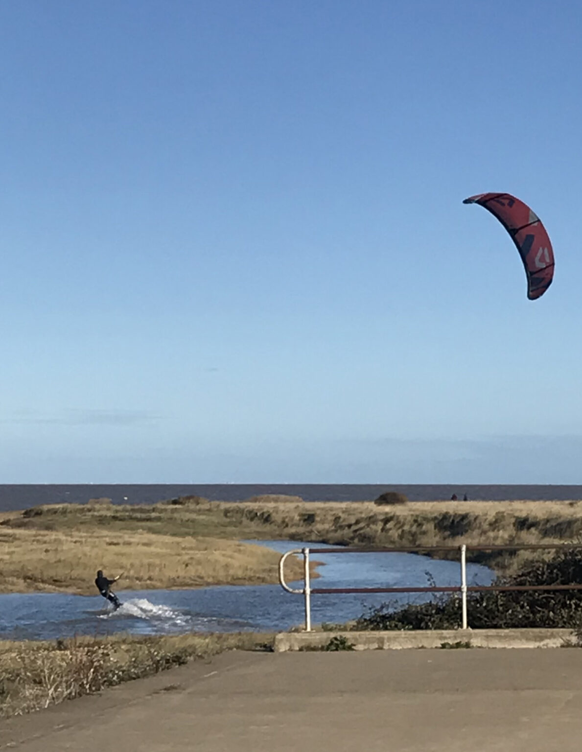 Swalecliffe Birds Birding blog